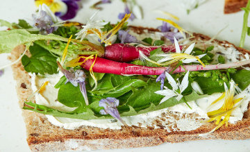 Vollkornbrot belegt mit Frischk&auml;se, Blattgem&uuml;se, Radieschenscheiben und essbaren Bl&uuml;ten, Foto: Oliver Giel