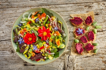 Gr&uuml;ne Sch&uuml;ssel mit Blattsalat und essbaren Bl&uuml;ten in Rot, Gelb, Orange und Blau. Daneben Brotscheiben mit rotem vegetarischen Aufstrich auf Backpapier. Untergrund: verwittertes Holz.
