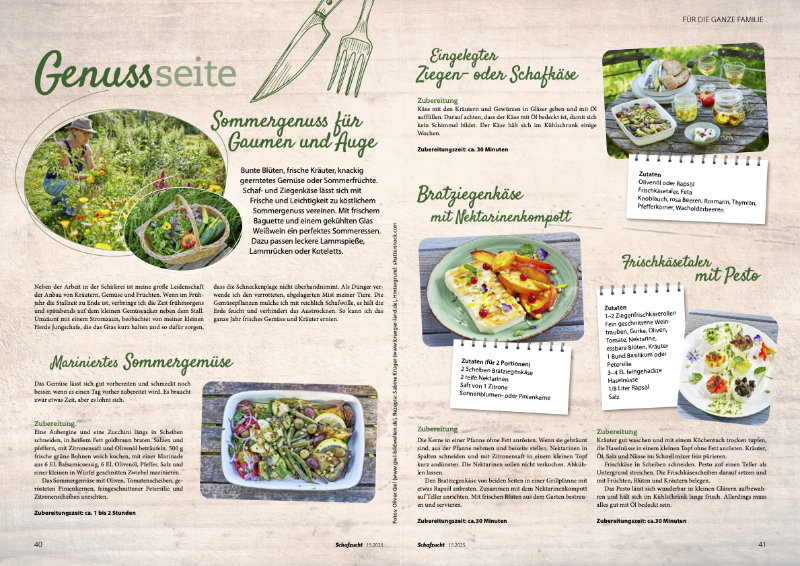 Rezeptseite mit Sommergem&uuml;se-Gerichten, illustrierte Anleitung f&uuml;r Salate und H&auml;ppchen mit Fotos und Zutaten-Listen, Kochmagazin.